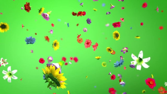 Exploding colorful flowers in 4K