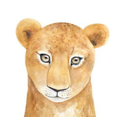 Watercolor portrait of young African Lioness character. Beautiful, looking at camera. Symbol of pride, strength, justice, energy, sun power. Hand drawn water color painting on white, isolated.