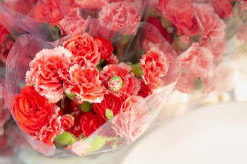 Garden Roses