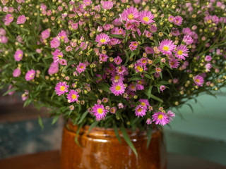Wildflower