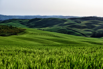 The hill of Tuscany, paradise is next /Tuscany My country My love, LOVELY EARTH from Italy, Tuscany land