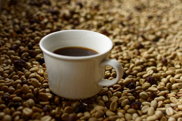 Cup of coffee on top of raw coffee beans in a drying tray