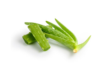 Green aloe vera on a white background with clipping path.