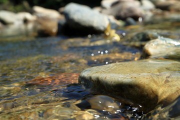 Picture of the clear water of a mountain stream.