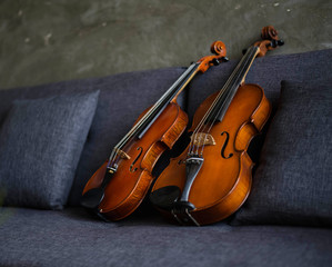 Fototapeta na wymiar The wooden violin and viola put on sofa
