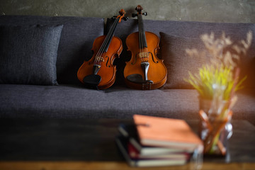 The wooden violin and viola put on sofa
