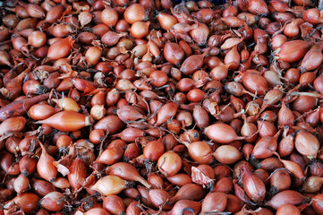 onion crumbled for sale on the market