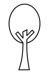 Obraz premium tree plant isolated icon vector illustration design