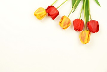 Flowers background. bouquet of beautiful red and yellow tulips on a white background. Top view. Copy space