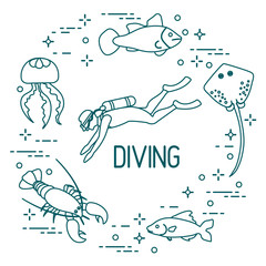 Diver, jellyfish, lobster, stingray, fish.