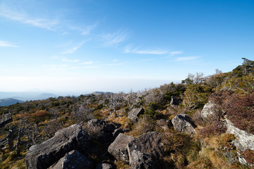 Obraz premium The&nbsp;way&nbsp;up&nbsp;hallasan&nbsp;mountain,&nbsp;Jeju&nbsp;island,&nbsp;South&nbsp;Korea.