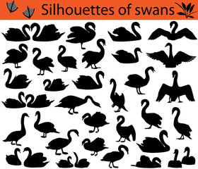 Collection of silhouettes of swans