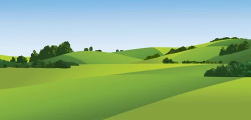 Poster Im Rahmen Ländliche Landschaft mit grünen Feldern © czibo