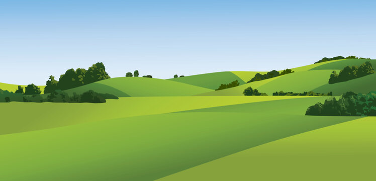 Fototapeta Rural landscape with green fields