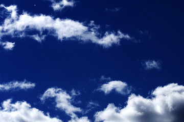 Naklejka na ściany i meble white fluffy clouds in the blue sky .