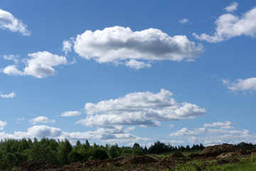 Blue sky panorama with clouds over tops of green trees .