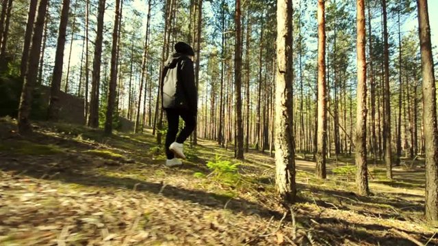 Young Female Walking among trees in forest. Slow motion footage. Amazing sunset, summer landscape.