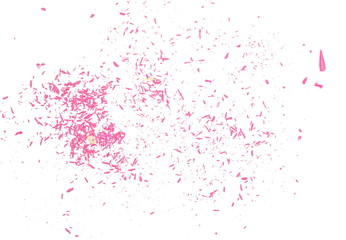 Wooden pink spiral pencil shavings from sharpener isolated on white background, top view