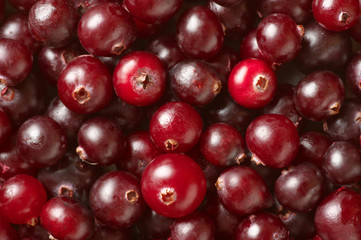 Cranberries close-up background