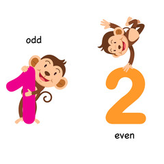 Opposite odd and even vector illustration
