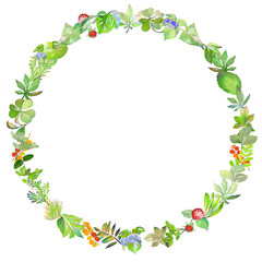 葉っぱ-サークル