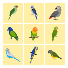 Set of colorful parrot icons