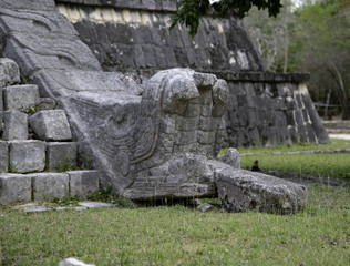 The serpent's head did not always represent the rule of the serpent kings. In the case of Chichen Itza, this is a representation of the great dragon of Quetzalcoatl