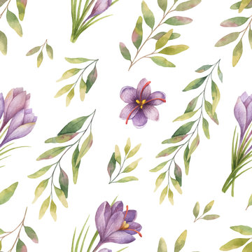Watercolor vector seamless pattern with eucalyptus leaves and flowers of saffron.