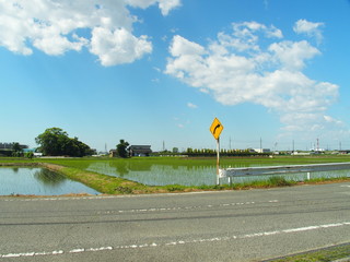 植田と道のある風景