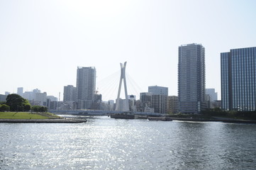 Fototapeta premium 隅田川の景色