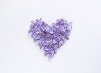 Heart shaped flowers of lilac isolated on a white bachground