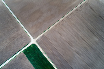 Obraz na płótnie Canvas Top view of agricultural parcels