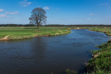 Obraz premium Liwiec river in Liw near Wegrow, Masovia, Poland