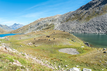 Colle del Nivolet in the Gran Paradiso National Park in Italy