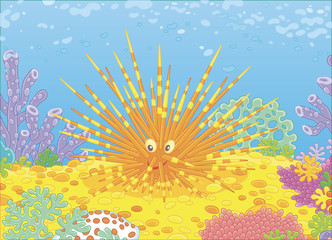 Fototapeta na wymiar Funny long-spine sea urchin among colorful corals on a reef in a tropical sea, vector illustration in a cartoon style