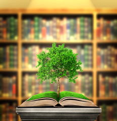 Education concept. Tree of knowledge grows from the book lying on the pedestal on a library background. 3d illustration