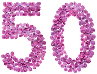 Arabic numeral 50, fifty, from flowers of lilac, isolated on white background