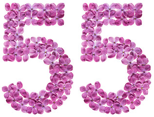 Arabic numeral 55, fifty five, from flowers of lilac, isolated on white background