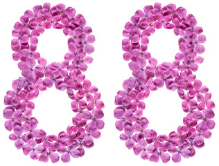 Arabic numeral 88, eighty eight, from flowers of lilac, isolated on white background