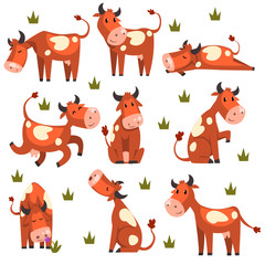 Brown spotted cow set, farm animal character in various poses vector Illustrations on a white background