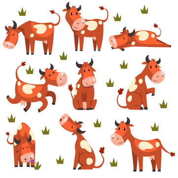 Brown Spotted Cow Set, Farm Animal Character In Various Poses Vector Illustrations On A White Background