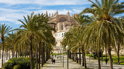 Fototapeta na wymiar Mallorca - Kathedrale La Seu in Palma