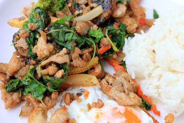 Stir-fried basil leave with minced pork, chicken, fried preserved egg and carrot, yellow corn, Broccoli with rice and fried egg in white dish on white background. Thai style food.