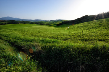 The hill of Tuscany, paradise is next /Tuscany My country My love, LOVELY EARTH from Italy, Tuscany land