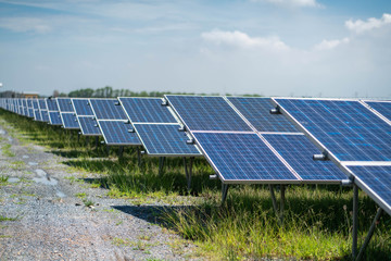 Fototapeta premium Blue solar power panels station energy with the sunny sky