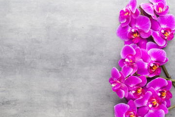 Beauty orchid on a gray background. Spa scene.