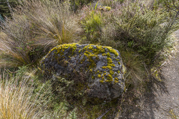 Whakapapa natural walk in Tongariro National Park, North Island, New Zealand.