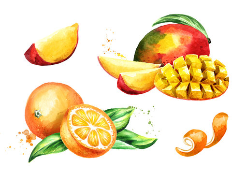 Mango and orange fruits set. Watercolor hand drawn illustration  isolated on white background