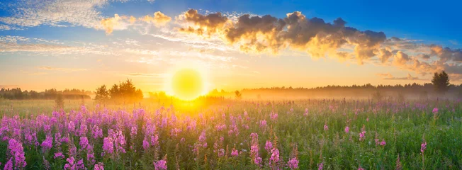 Poster panorama rural landscape with sunrise  and  blossoming meadow © yanikap