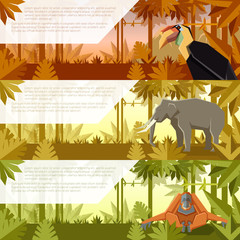Set of flat banners with asian animals
